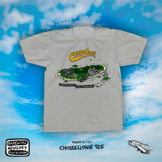 T-shirt Chossellonie Wit - Grijs - Beige
