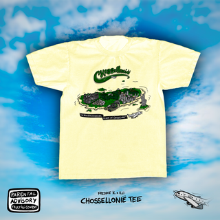 T-shirt Chossellonie Wit - Grijs - Beige